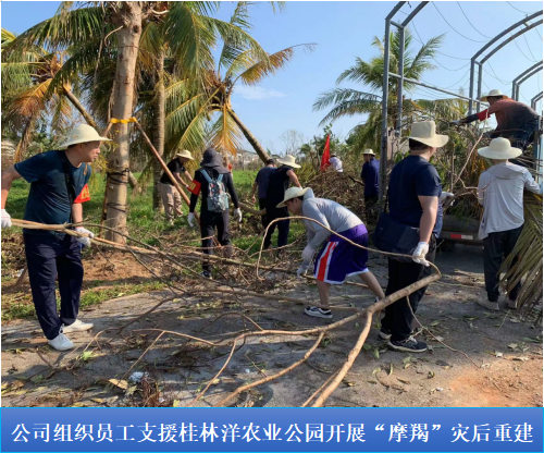 1745485257885413.png 1745484939095.png